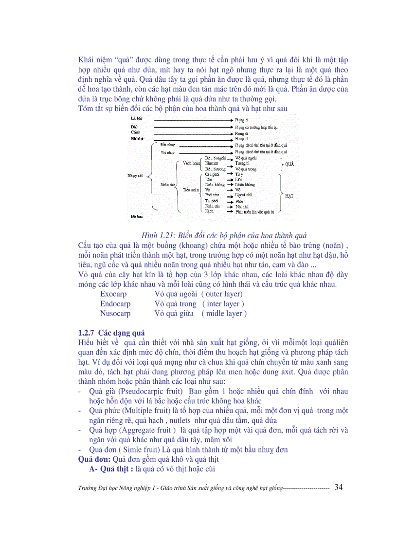 image for page Sản xuất giống và công nghệ hạt giống