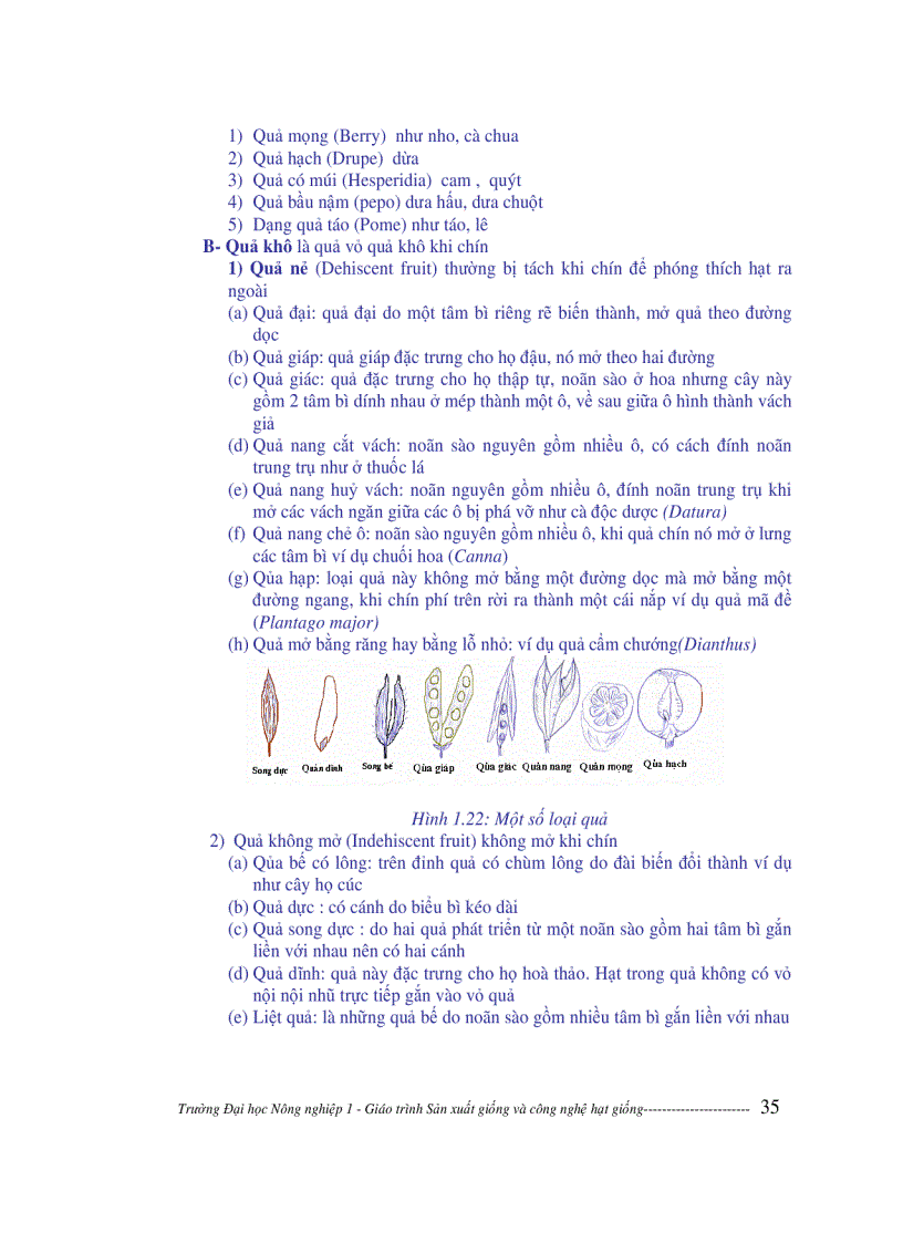 image for page Sản xuất giống và công nghệ hạt giống