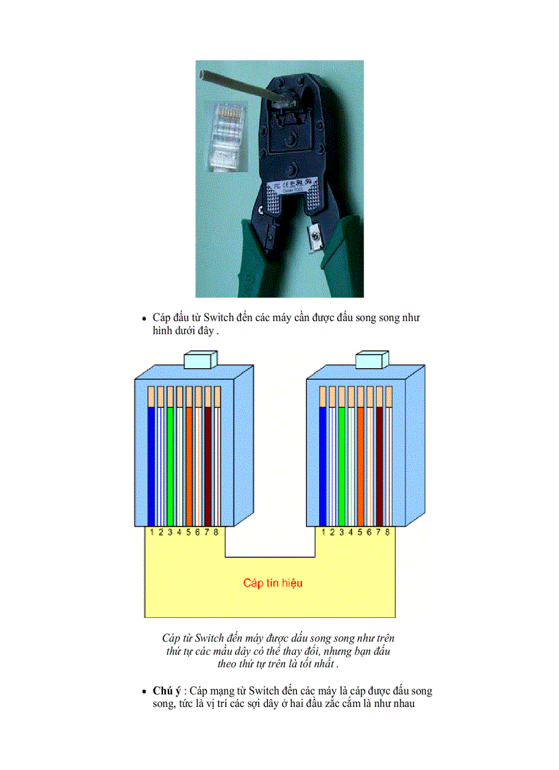 image for page Các kiểu đấu mạng LAN