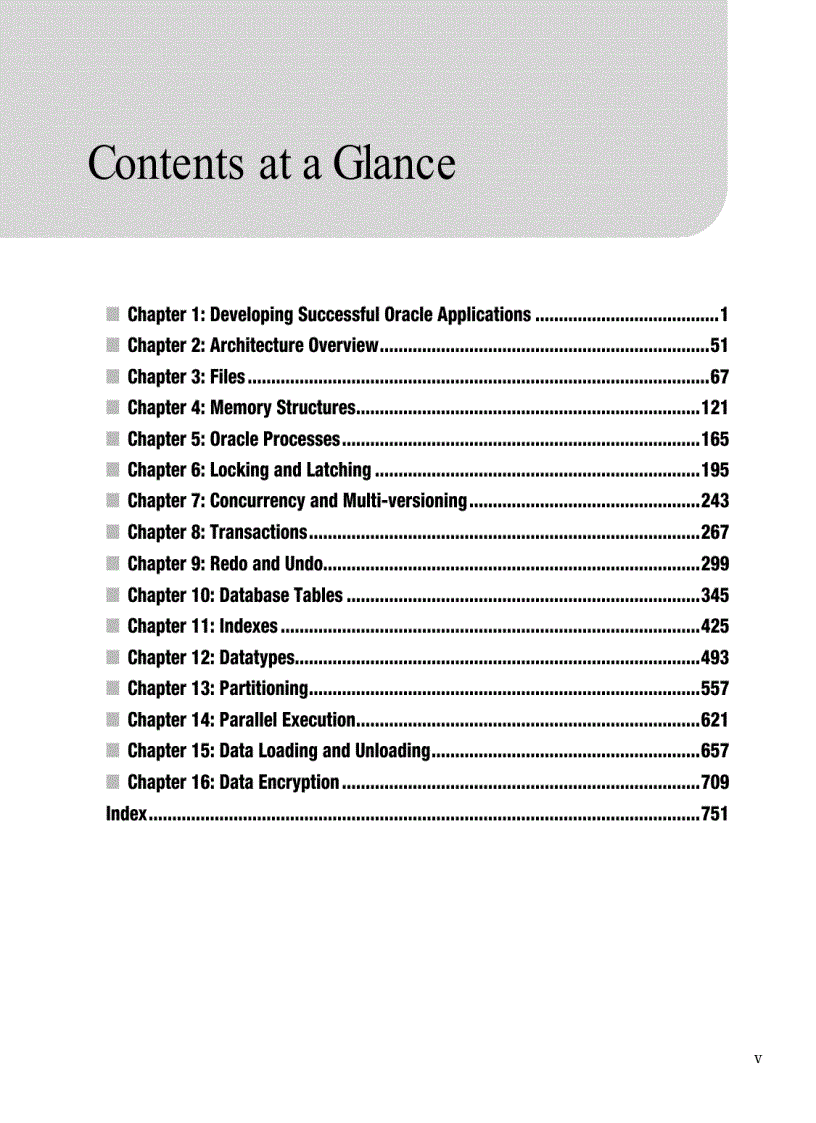 image for page Expert Oracle Database Architecture Oracle Database 9i 10g and 11g Programming Techniques and Solutions