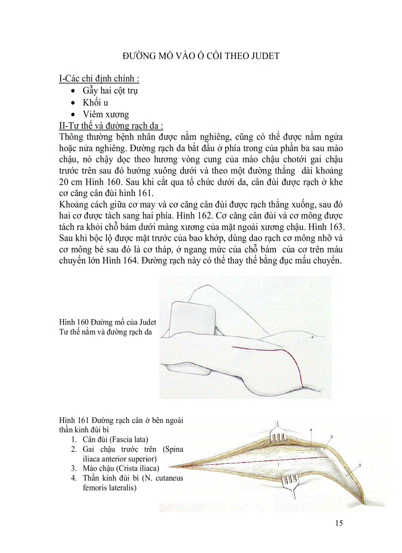 image for page Đường mổ ổ cối judet