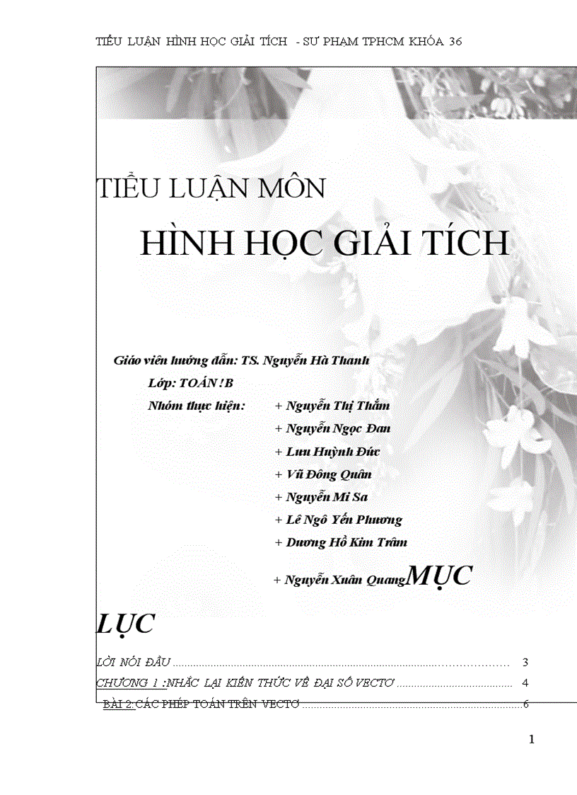 Tieu Luan Hinh Hoc Giai Tich Khoa Toan Truong Dai Hoc Su Pham