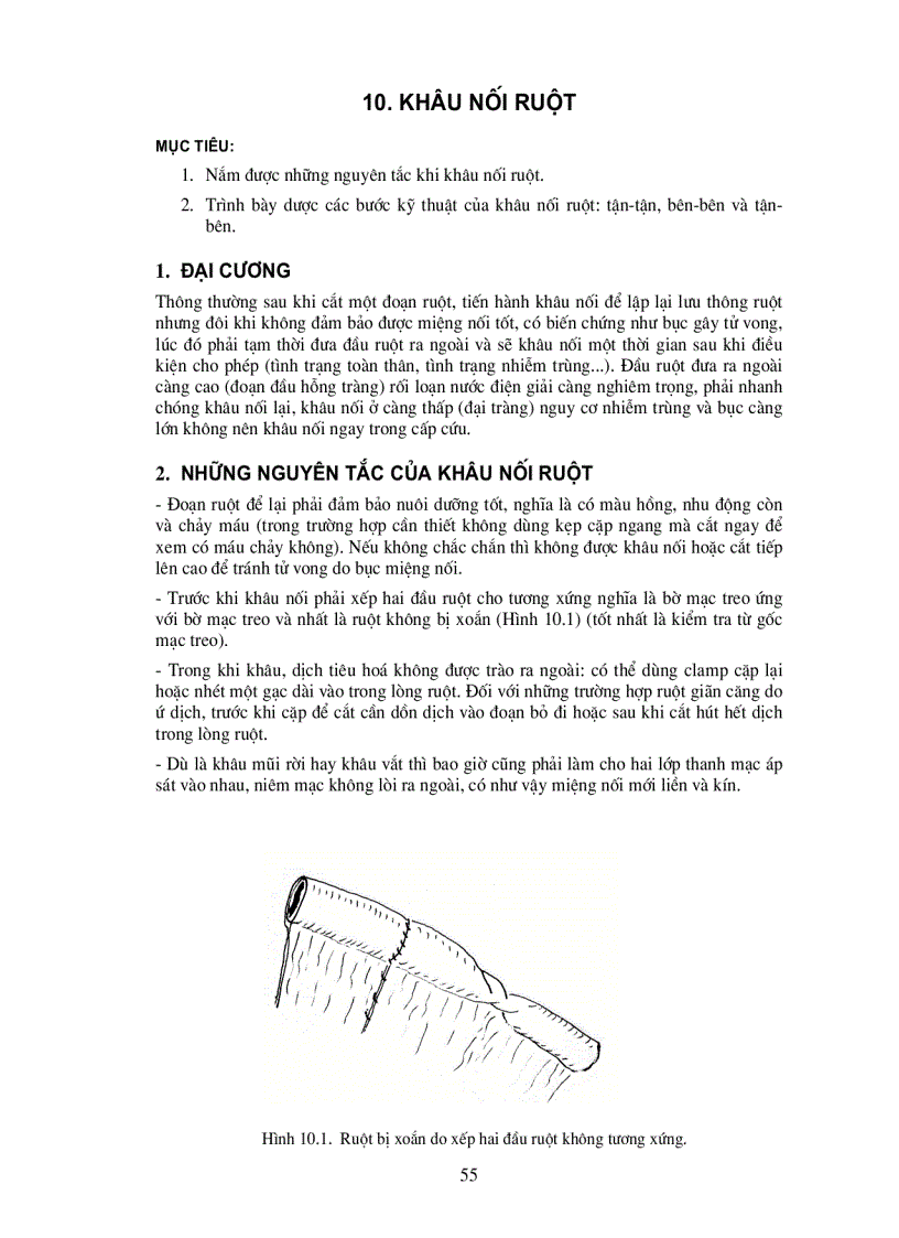 image for page Kĩ thuật khâu nối ruột