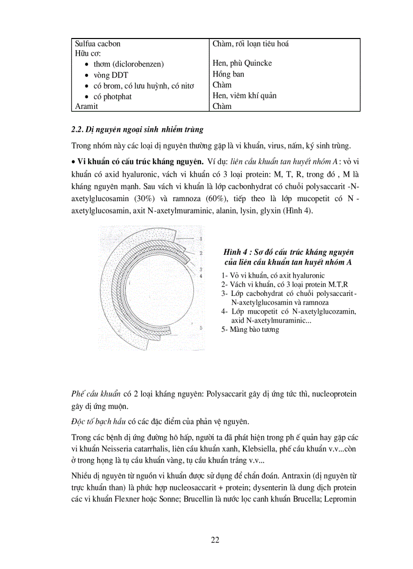 image for page Dị nguyên