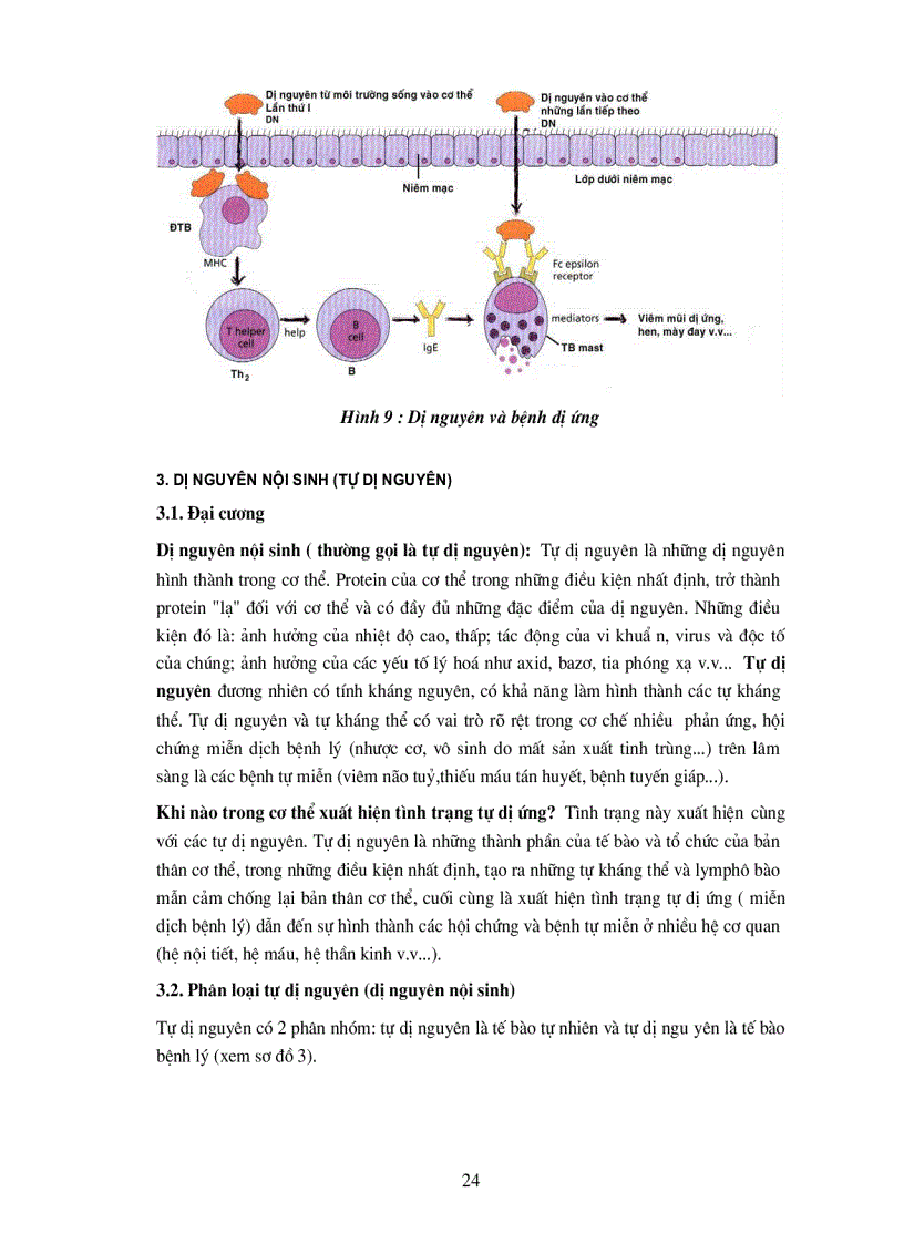 image for page Dị nguyên