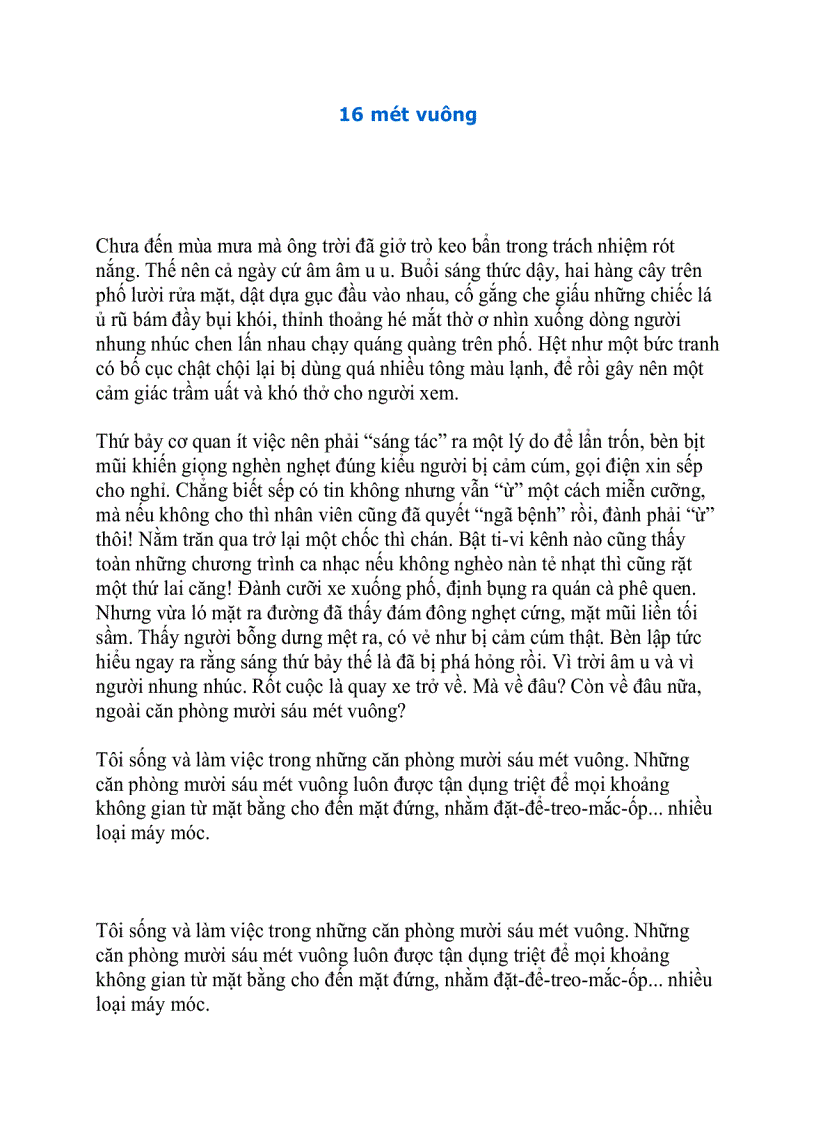 image for page 16 mét vuông