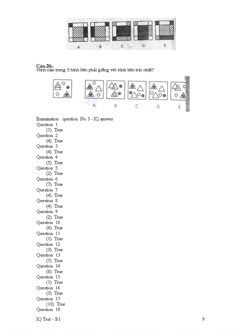 image for page IQ test B1 FPT có đáp án
