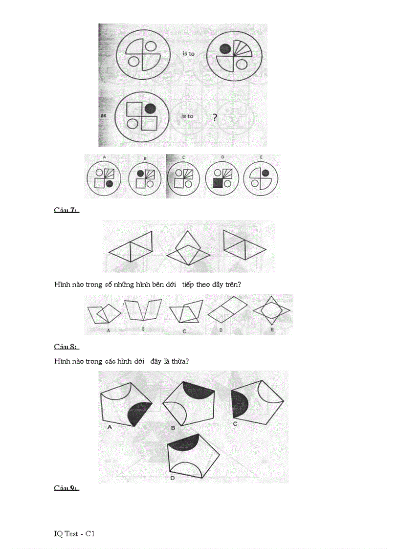 image for page IQ test C1 FPT