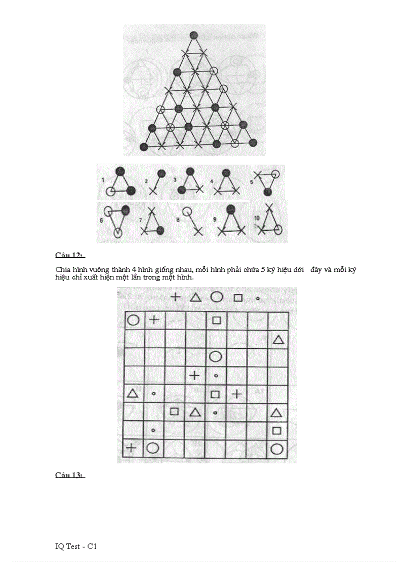 image for page IQ test C1 FPT
