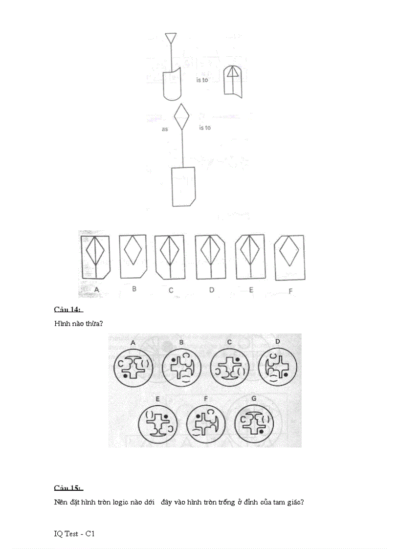 image for page IQ test C1 FPT