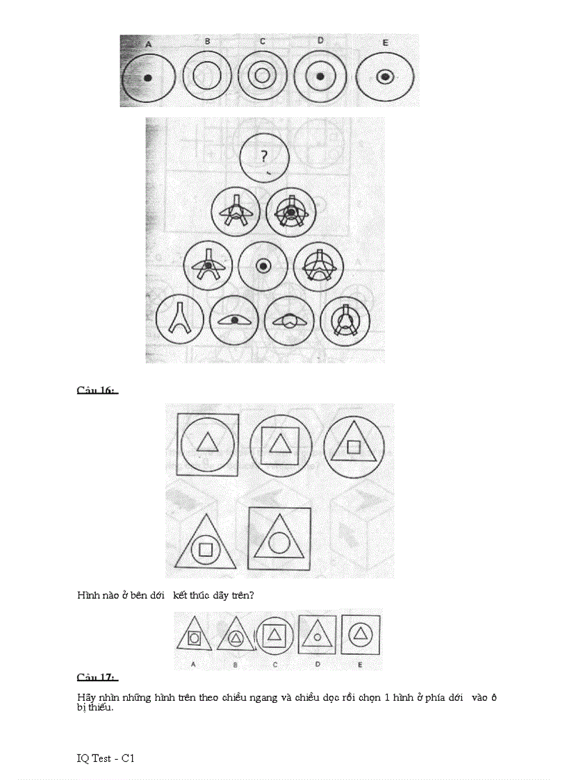 image for page IQ test C1 FPT