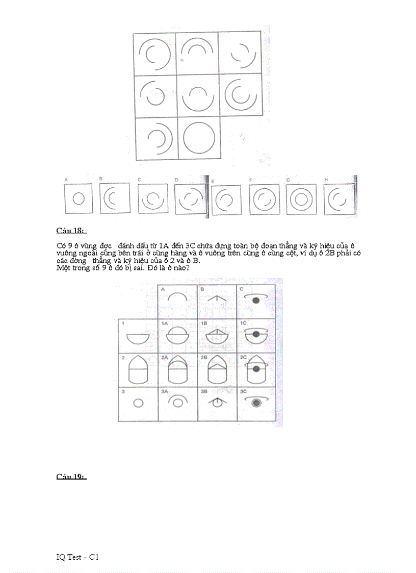 image for page IQ test C1 FPT