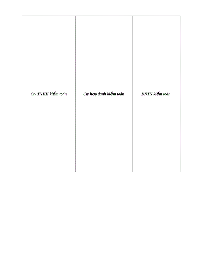 image for page Tổng quan về kiểm toán 2