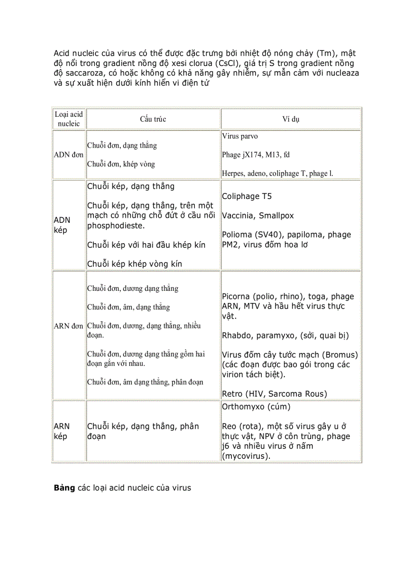image for page Giáo trình vi sinh vật