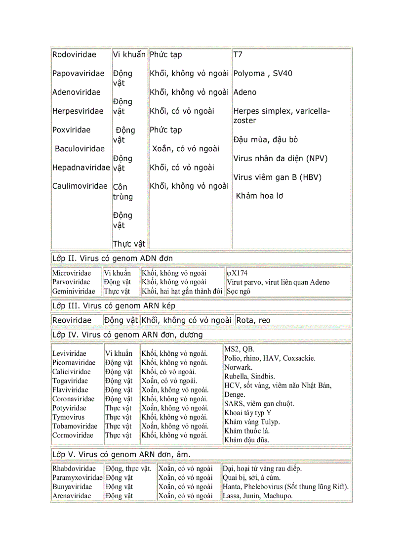 image for page Giáo trình vi sinh vật