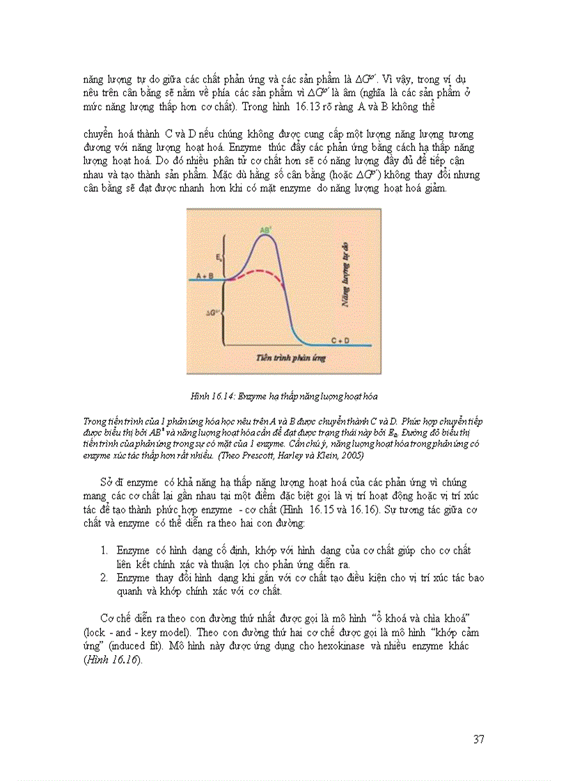 image for page Ức chế vi sinh vật bằng các tác nhân vật lý và hóa học