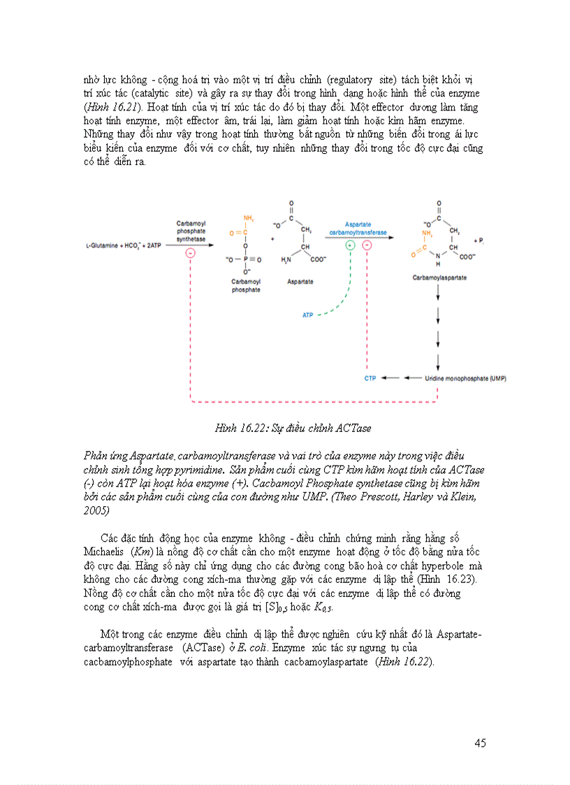 image for page Ức chế vi sinh vật bằng các tác nhân vật lý và hóa học