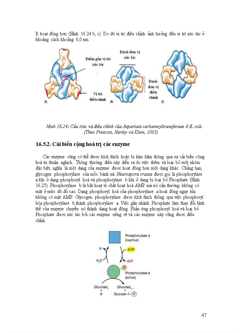 image for page Ức chế vi sinh vật bằng các tác nhân vật lý và hóa học