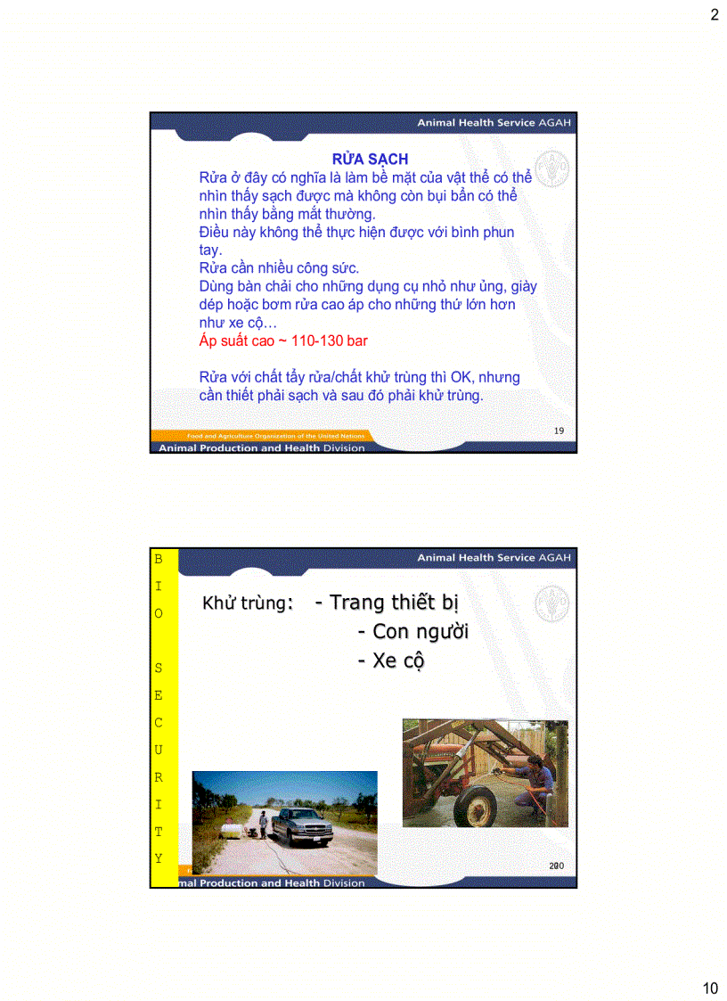 image for page Những nguyên lý cơ bản của An toàn Sinh học