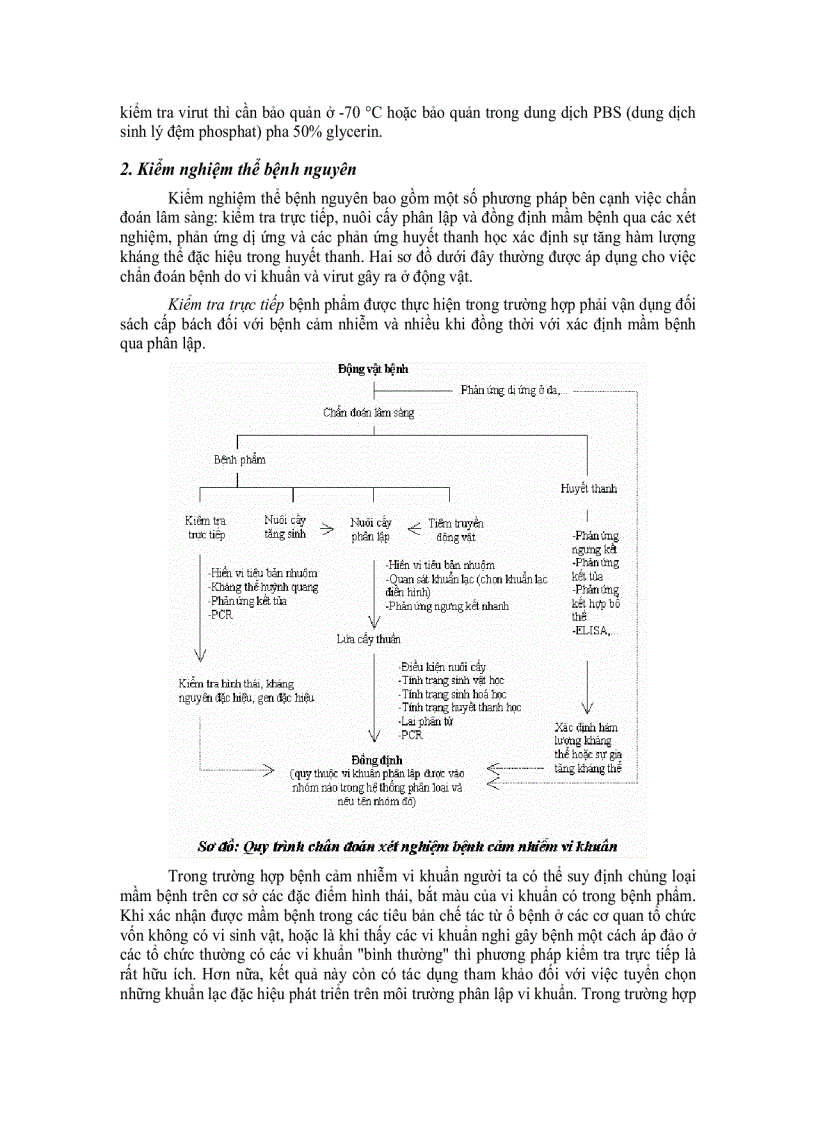 image for page Chuẩn đoán bệnh truyền nhiễm