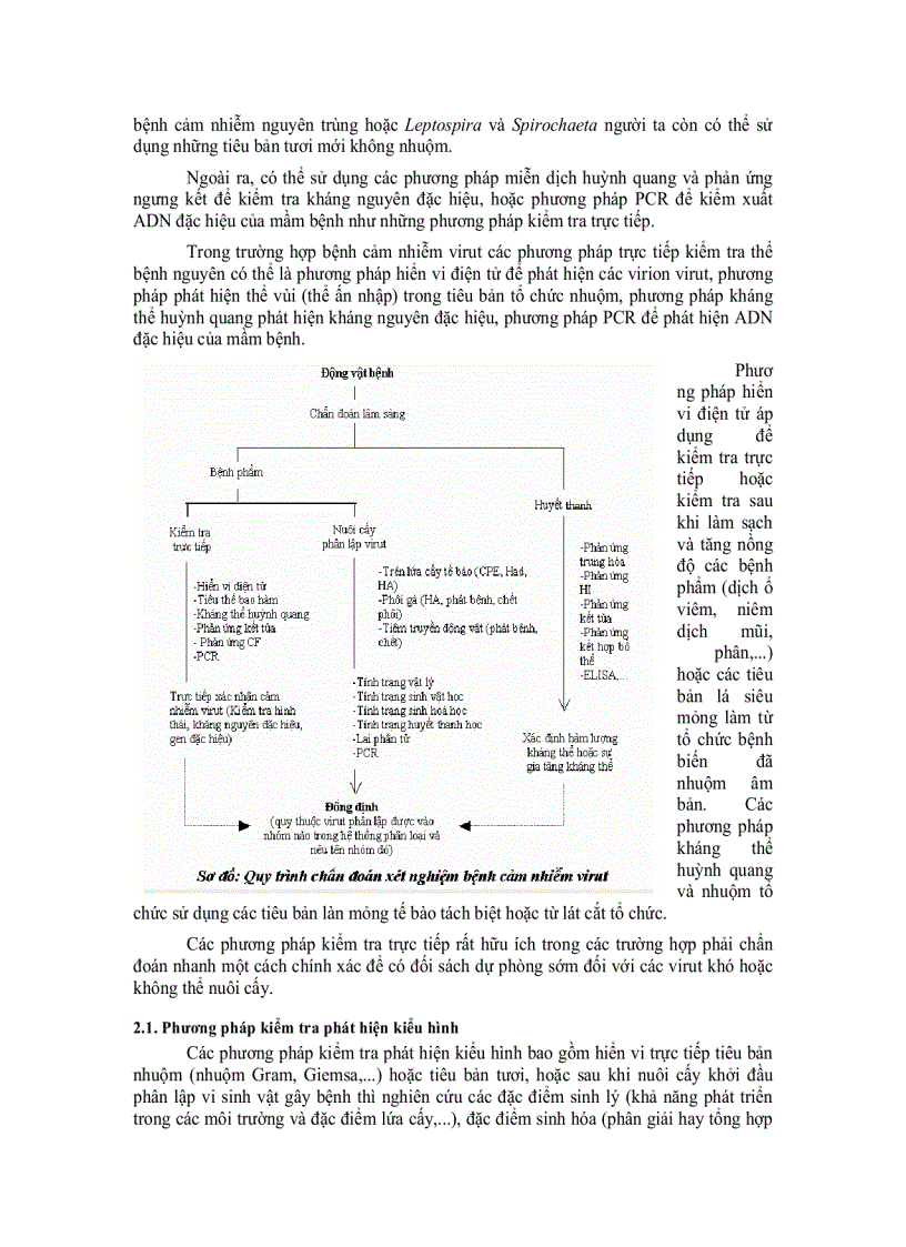 image for page Chuẩn đoán bệnh truyền nhiễm