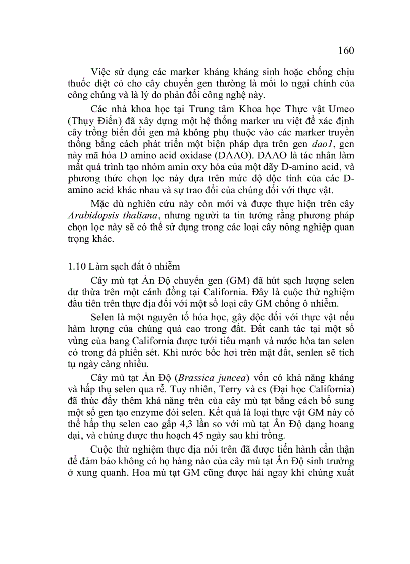 image for page Công nghệ chuyển gen ở Thực vật