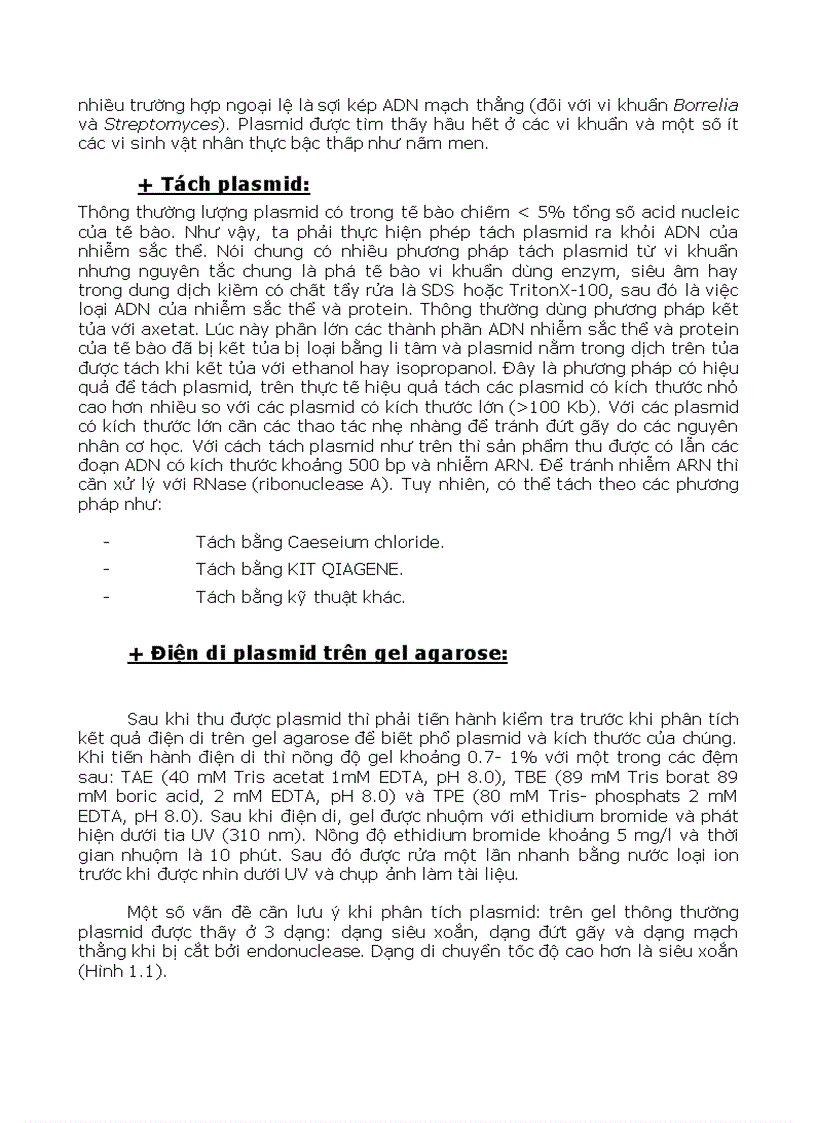 image for page Phân loại vi sinh bằng Sinh Học Phân Tử