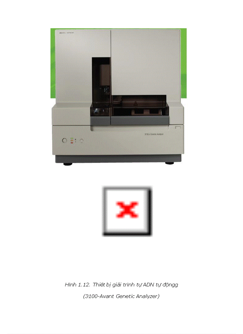 image for page Phân loại vi sinh bằng Sinh Học Phân Tử