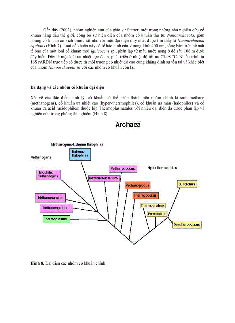 image for page Cổ khuẩn Archaea