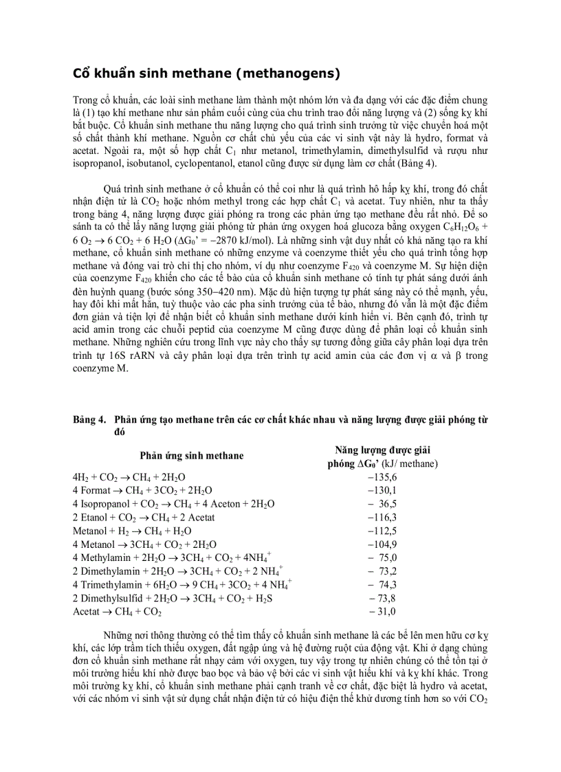 image for page Cổ khuẩn Archaea