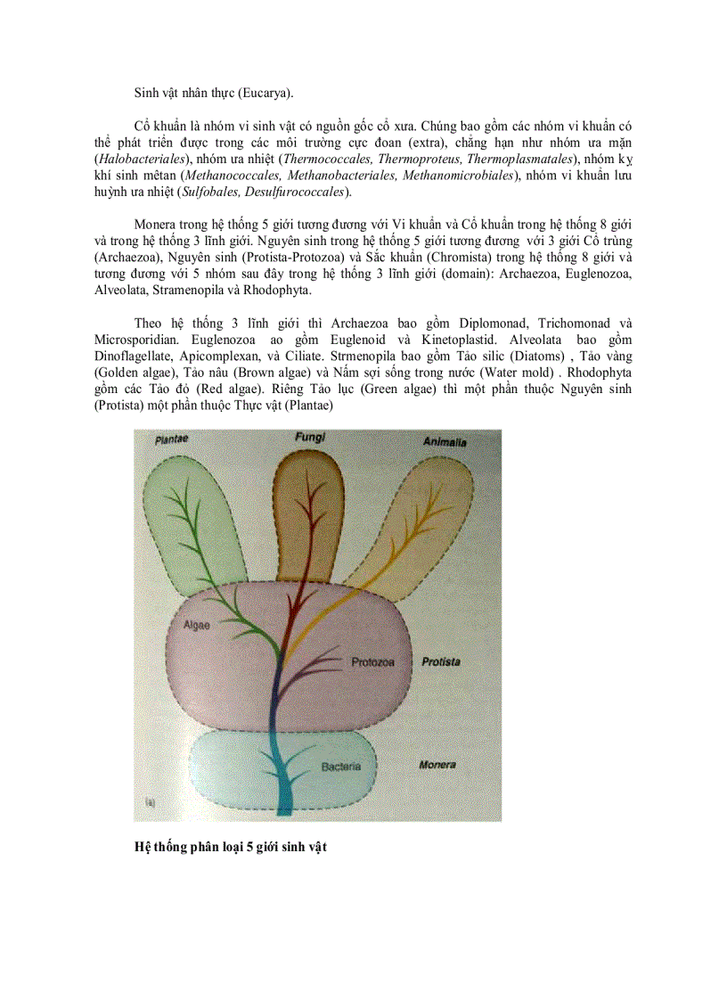 image for page Lược sử nghiên cứu Vi sinh vật học 1