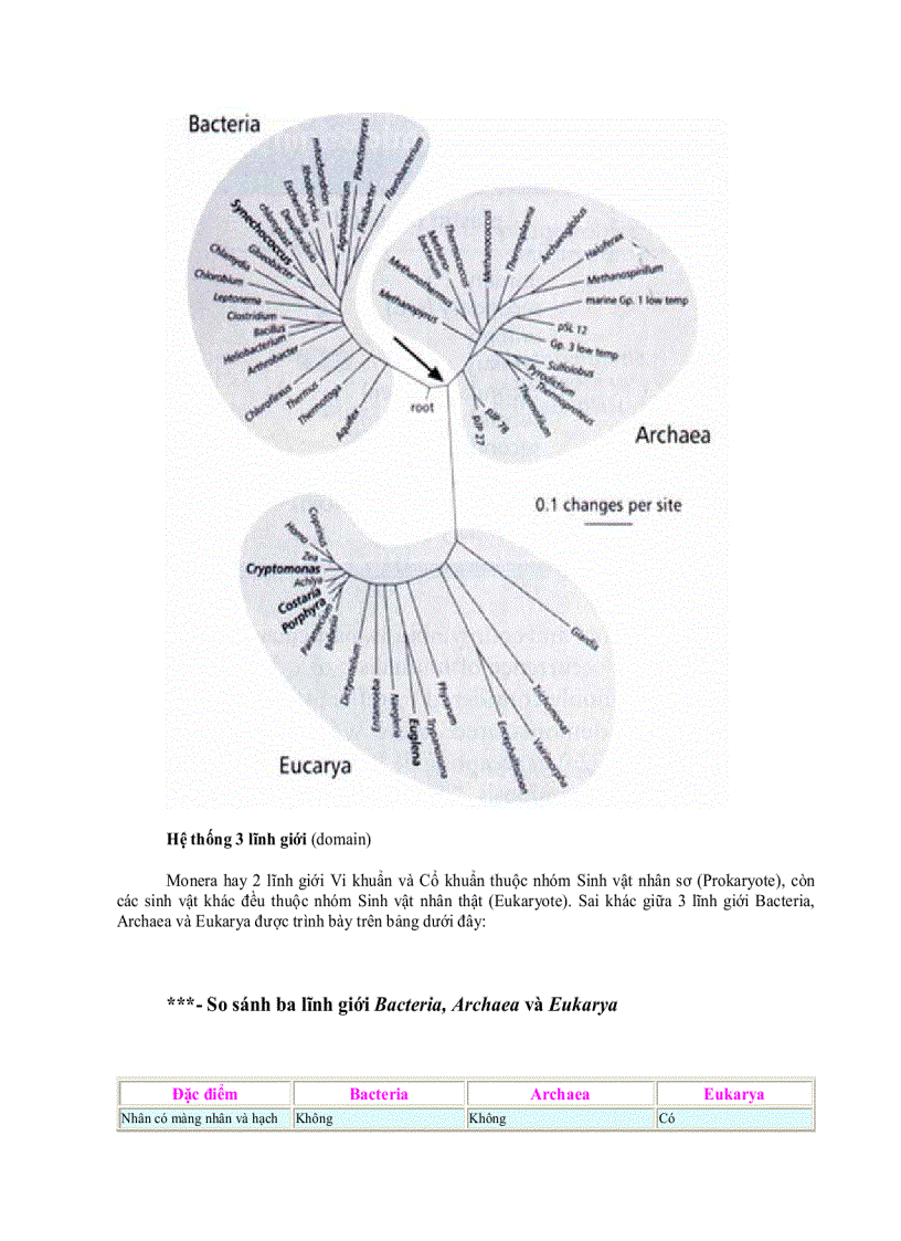 image for page Lược sử nghiên cứu Vi sinh vật học 1