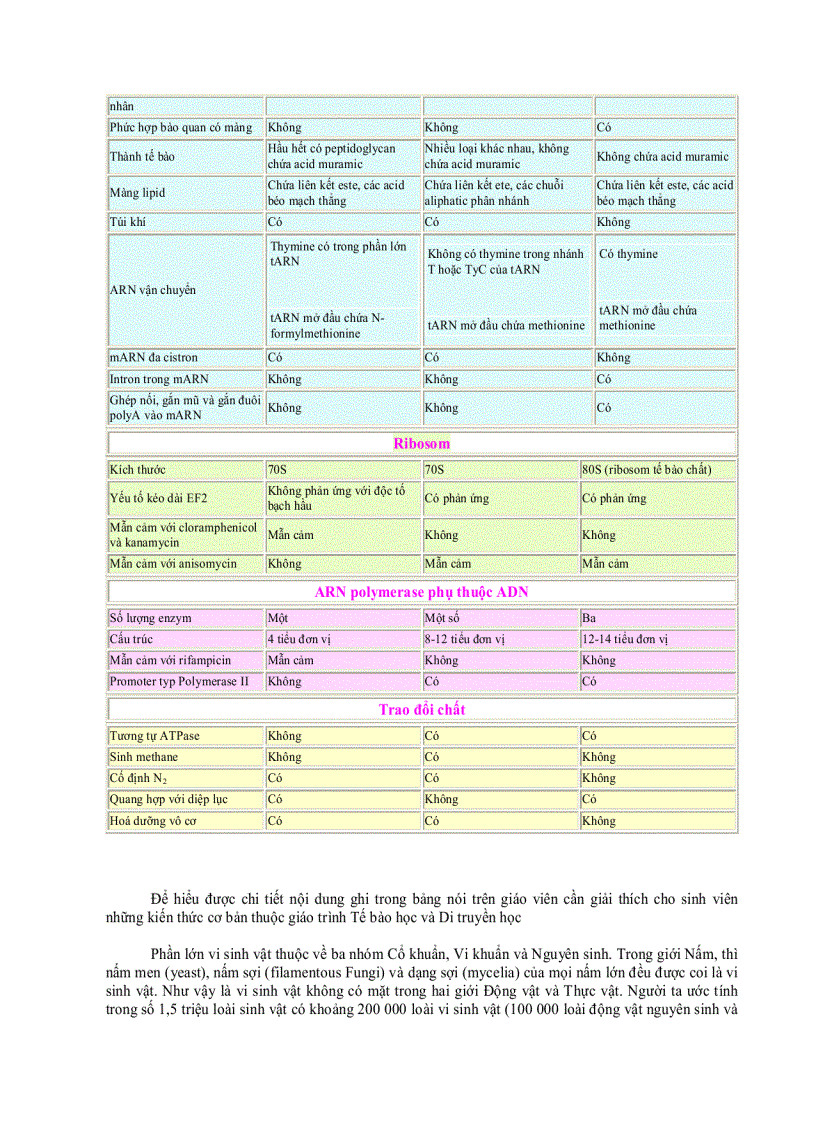 image for page Lược sử nghiên cứu Vi sinh vật học 1