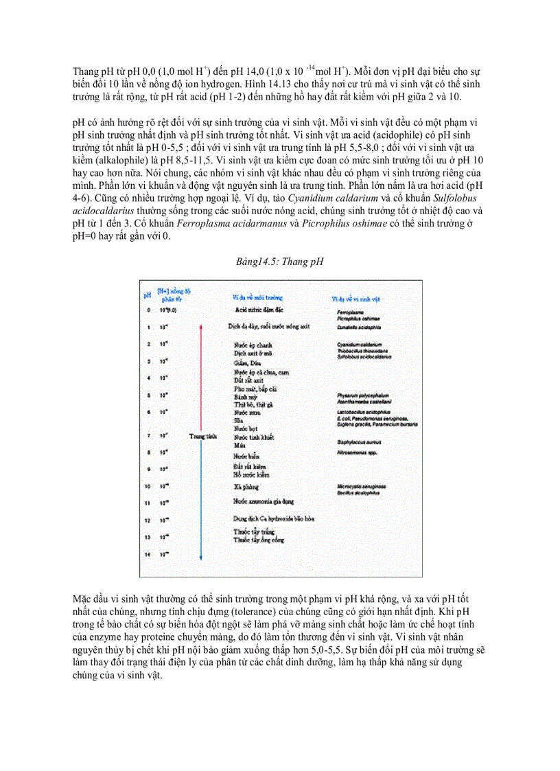 image for page Ảnh hưởng của các nhân tố môi trường đến sự sinh trưởng của vi sinh vật