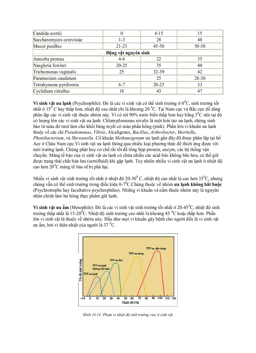 image for page Ảnh hưởng của các nhân tố môi trường đến sự sinh trưởng của vi sinh vật