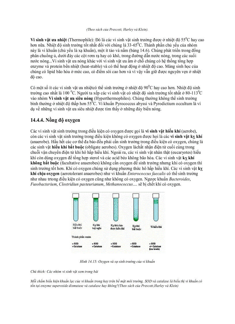 image for page Ảnh hưởng của các nhân tố môi trường đến sự sinh trưởng của vi sinh vật