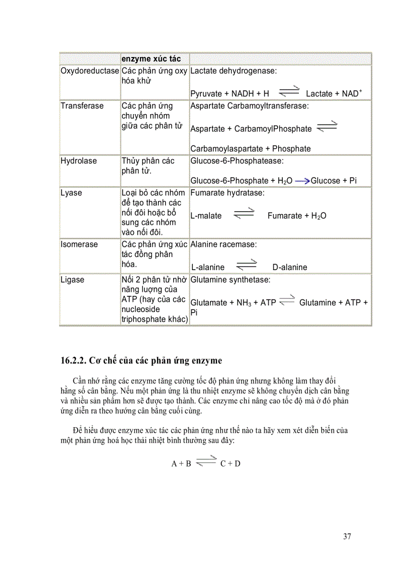 image for page Enzyme