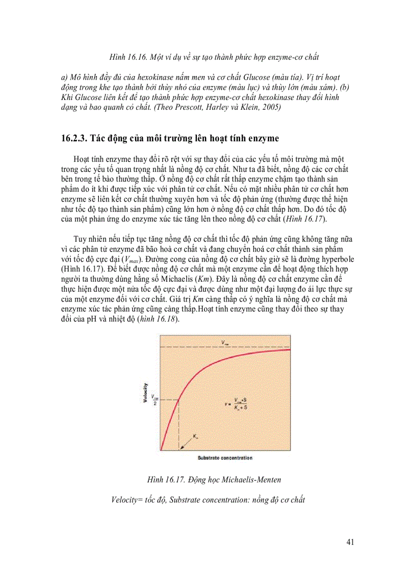 image for page Enzyme