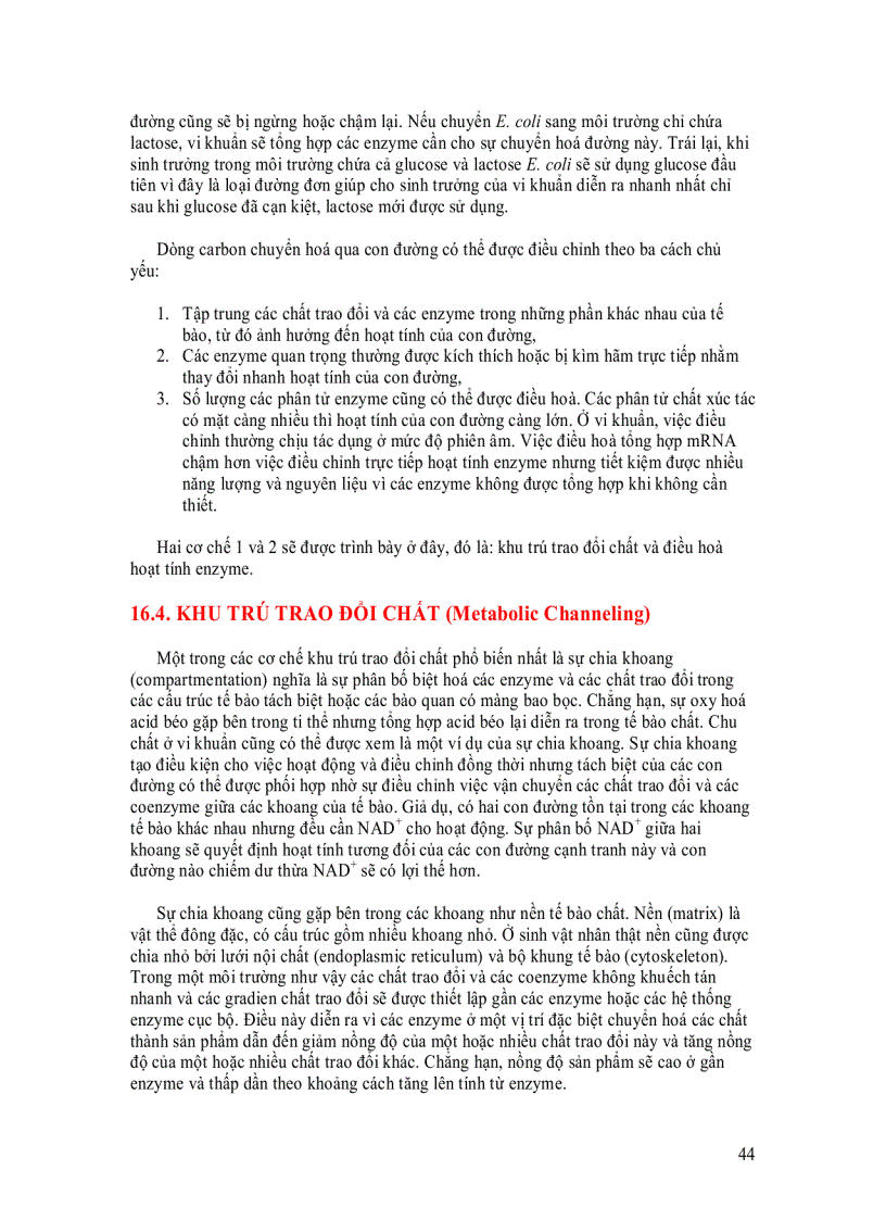 image for page Enzyme