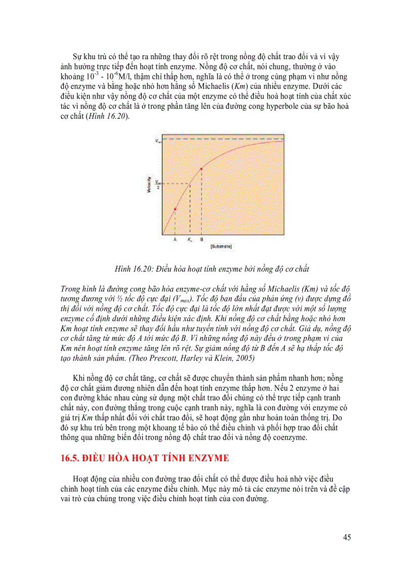 image for page Enzyme