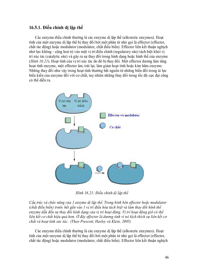 image for page Enzyme