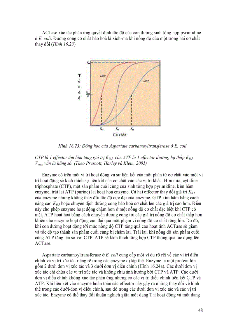 image for page Enzyme