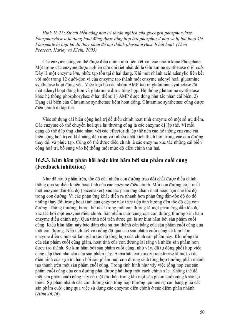 image for page Enzyme