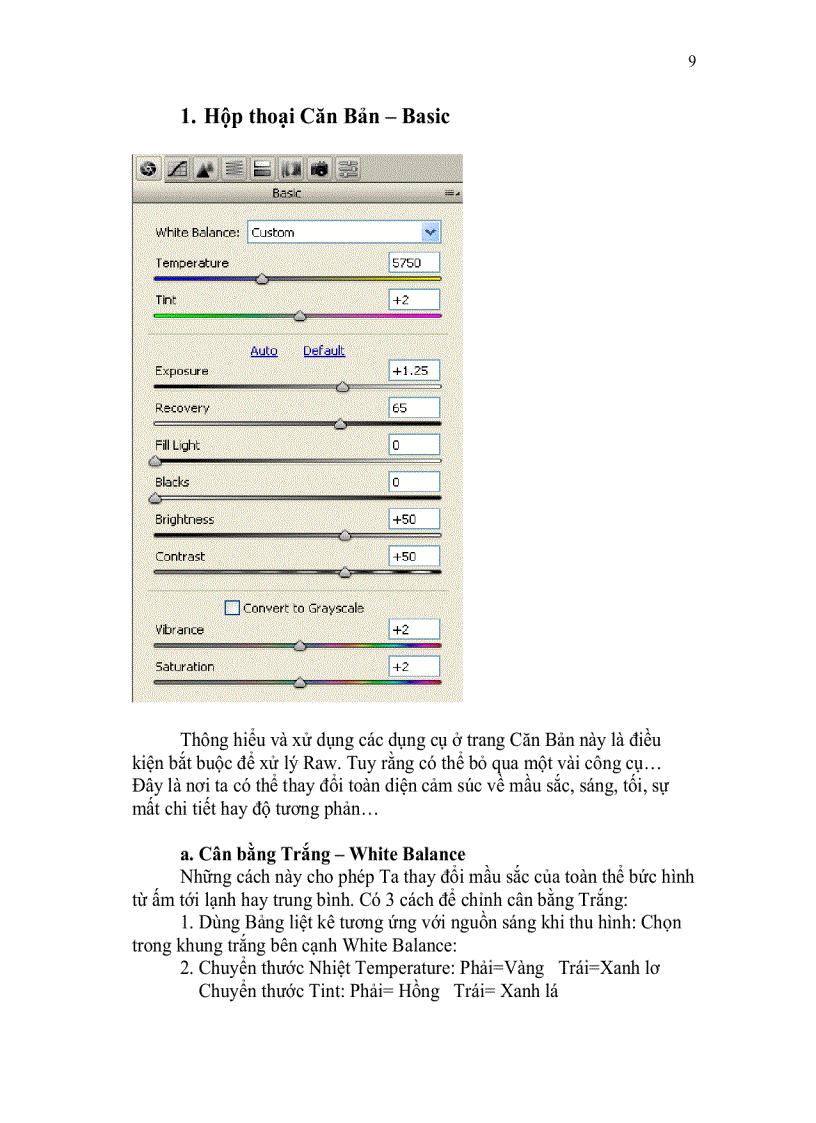 image for page Tiến trình xử lý kỹ thuật số digital workflow cs3