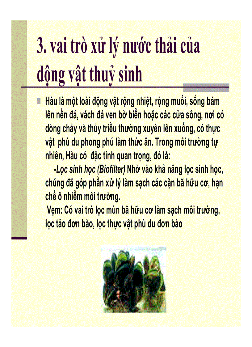 image for page Động vật thuỷ sinh và ứng dụng trong xử lý nước thải