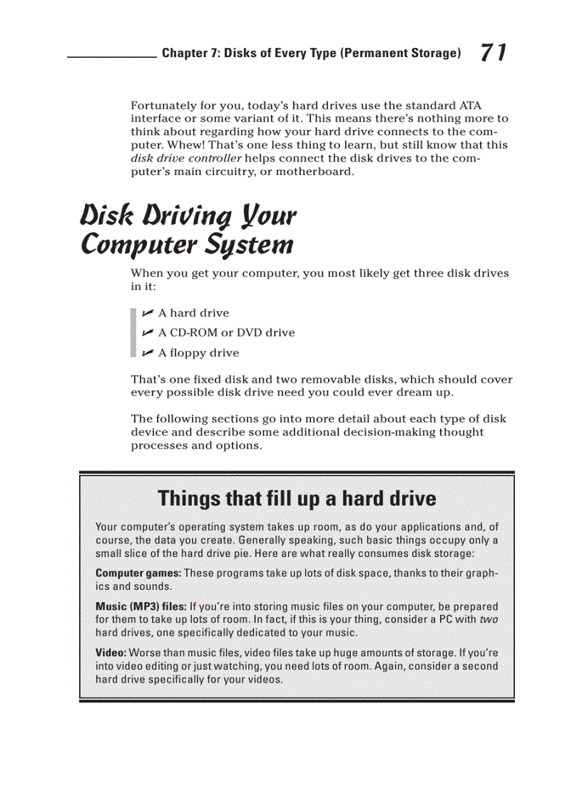 image for page Disks of Every Type Permanent Storage