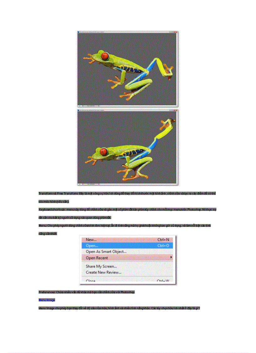 image for page Hướng dẫn sử dụng Photoshop CS5 Phần 4 Các menu cơ bản