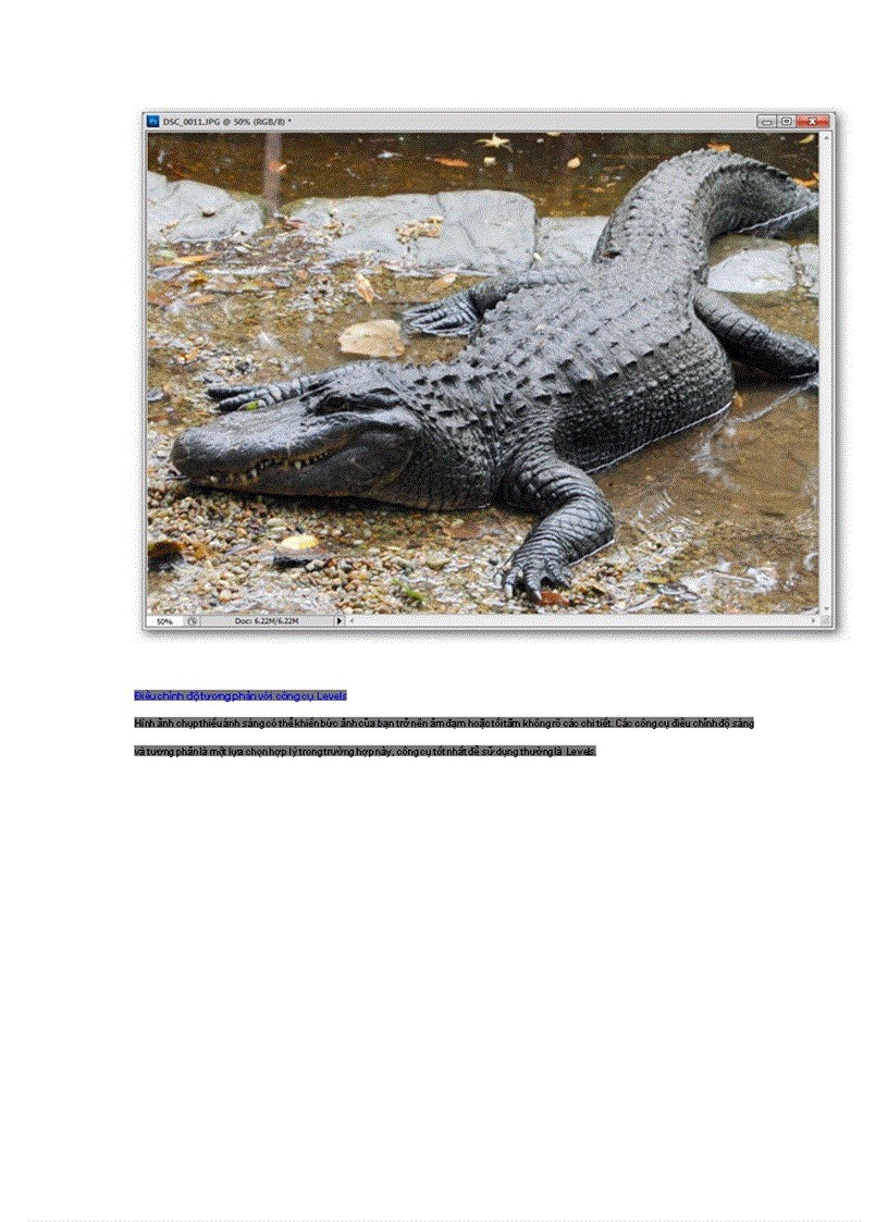 image for page Hướng dẫn sử dụng Photoshop CS5 Phần 5 Chỉnh sửa ảnh