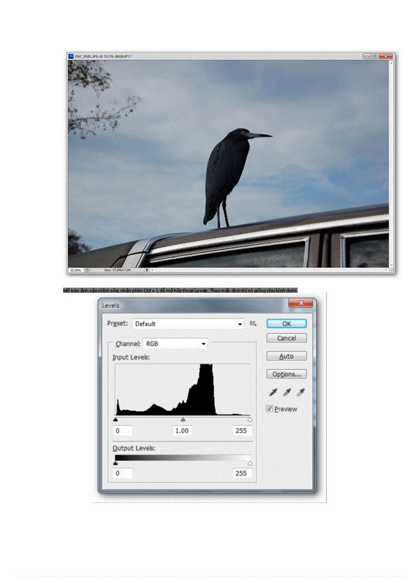 image for page Hướng dẫn sử dụng Photoshop CS5 Phần 5 Chỉnh sửa ảnh