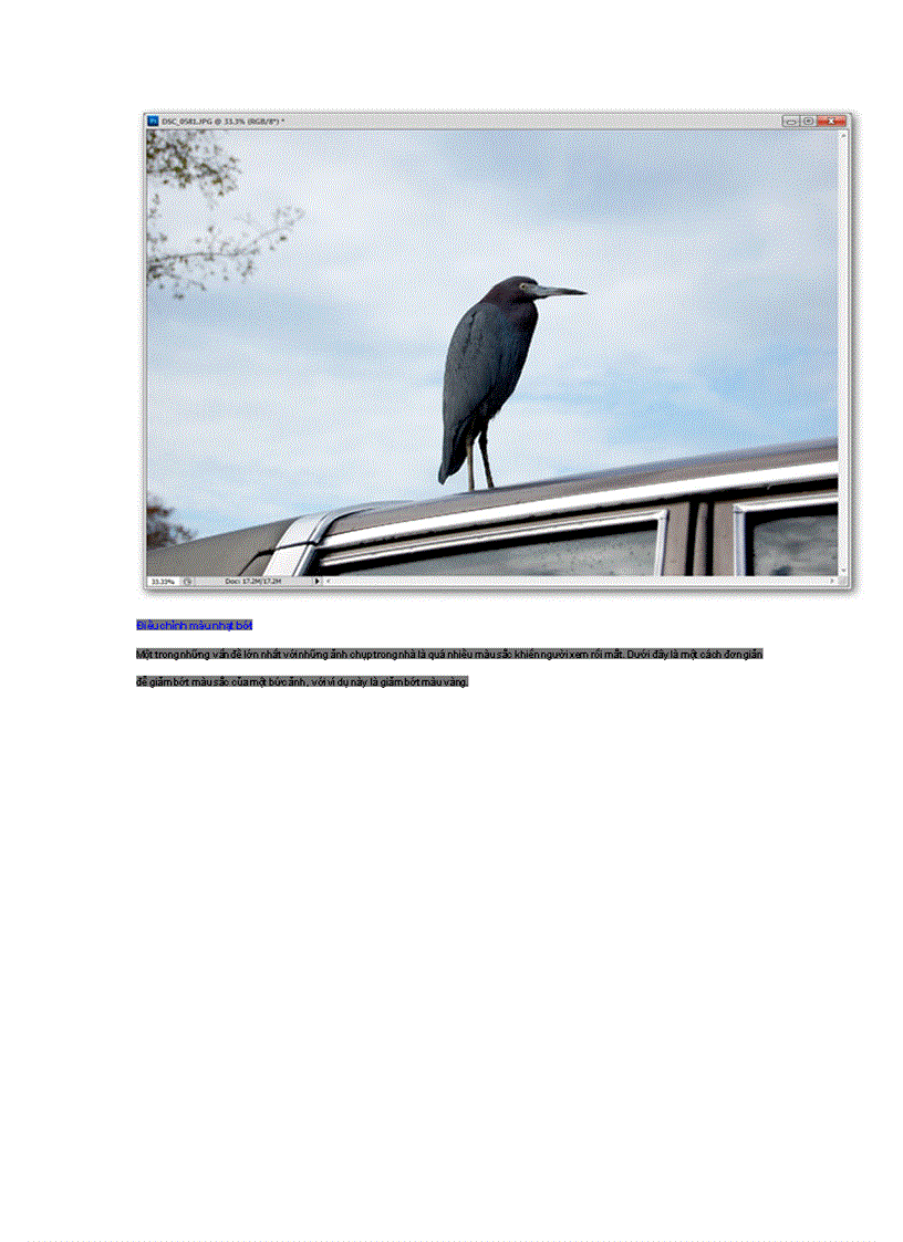 image for page Hướng dẫn sử dụng Photoshop CS5 Phần 5 Chỉnh sửa ảnh